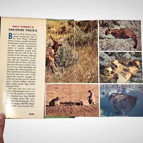 1955 WALT DISNEY'S "VANISHING PRAIRIE" 1ST EDITION VINTAGE HARDBACK BOOK (P4). - Picture 4 of 9